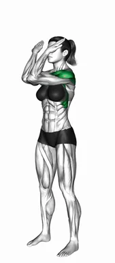 Standing Front Elbow Touch to Overhead Cross demo