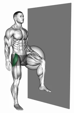 볼 스탠딩 중둔근 프레스 자세 시연