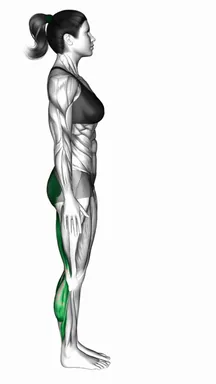 Standing Half Bend demo