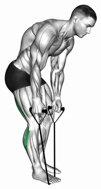 Standing Hamstring and Calf Stretch with Strap demo