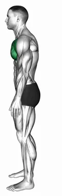 Standing Hands Behind Chest Stretch demo