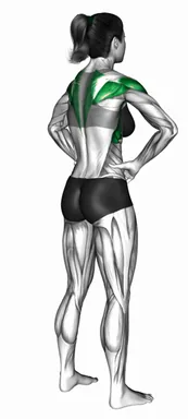 스탠딩 핸즈 온 힙 프론트·백 오픈 자세 시연
