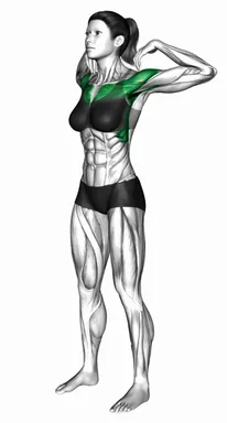 스탠딩 숄더 터치 레이즈 앤 엘보 터치 자세 시연