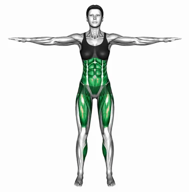 Standing Hands-Up Knee Tap demo