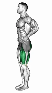 Standing Hip Extension to Leg Lift demo