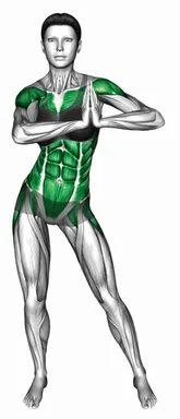 Standing Hip Frontal Rotation Side Slide Arm demo