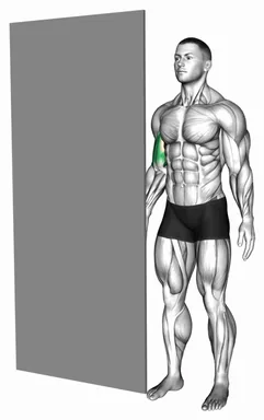 Standing Isometric Biceps Hold demo