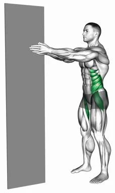 Standing Isometric Pallof Press Hold demo