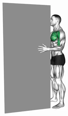 Standing Isometric Shoulder Internal Rotation against Wall demo
