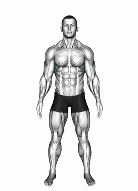 Standing Lateral Stretch demo