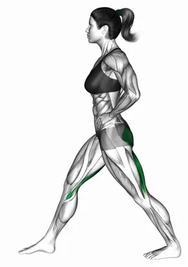 Standing Lean Forward Hamstring Stretch demo