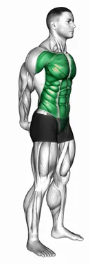 스탠딩 뒤로 기대기 스트레칭 자세 시연