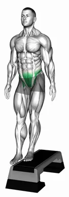Standing Pelvic Lift demo