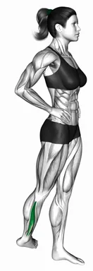 Standing Peroneus Stretch demo