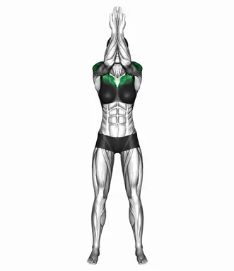 Standing Reverse Palm Prayer Push and Side Raise demo