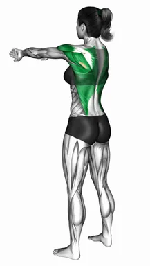 Standing Row Switching Palms demo
