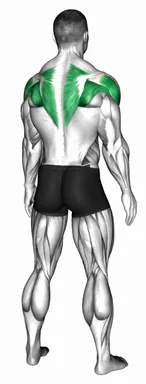 Standing Scapular Press demo