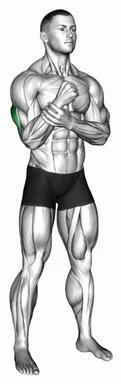 Standing Self Assisted Single Arm Extension demo