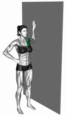 Standing Single Chest Stretch against Wall demo
