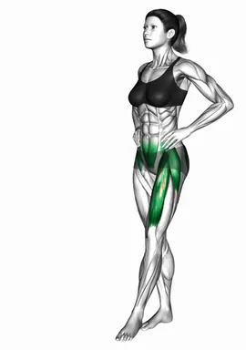 Standing Single Leg Front Raise demo