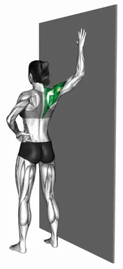 Standing Single Shoulder Stretch Wall Supported demo