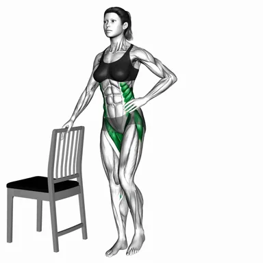 Standing Single Side Leg Raise Chair Supported demo