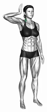 Standing Spine Alignment and Forward Head Posture Correction demo