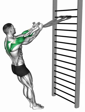 Standing Supinated Face Pull (with Towels) demo