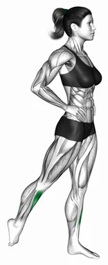 Standing Tibialis Anterior Stretch demo
