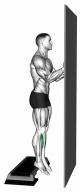 Standing Tibialis Raise Wall Supported demo