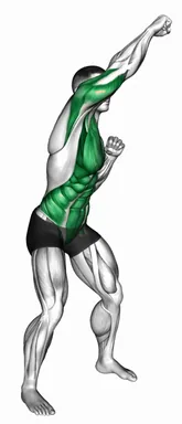 스탠딩 톱 코너 펀치 자세 시연