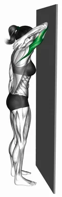 벽 삼두 스트레칭 자세 시연