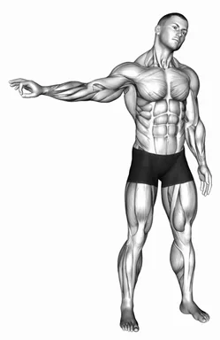Standing Ulnar Nerve Mobilization demo
