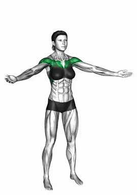 Standing Underhand Crossover Raise demo