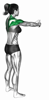 Standing Upper Back and Shoulder Stretch demo