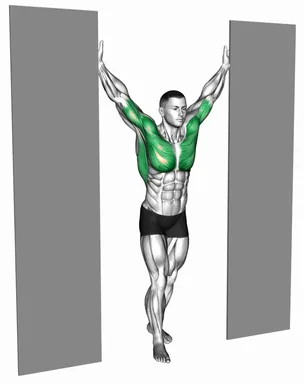 Standing Upright Shoulders Stretch demo
