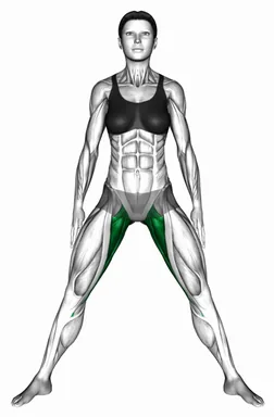 Standing Wide Knees Adductor Stretch demo