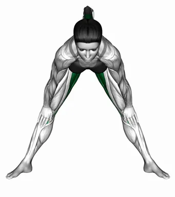 Standing Wide Leg Adductor Stretch demo