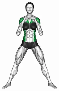 Standing Wide Stance Punch demo