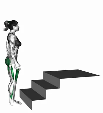 Step-up (1st and 2nd stairs steps) (Demo 2) demo
