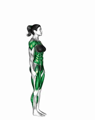 Stepback Front Kick Arms Raise demo