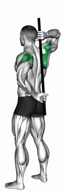 Stick Assisted Standing Shoulder Internal Rotation demo