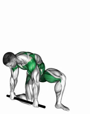 Stick Half Kneeling Flexion Extension Rotation demo