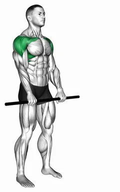 Stick Standing Front Raise demo