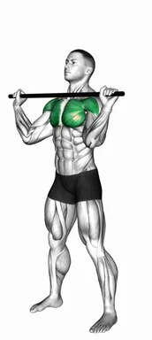봉 스탠딩 대흉근 스트레칭 자세 시연