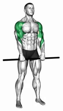 Stick Standing Upright Row demo