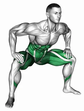 Sumo Hip Twist Stretch demo