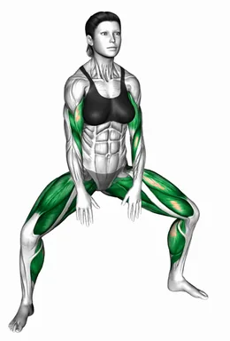 Sumo Quarter Squat Tip Toe with Arm Curl demo