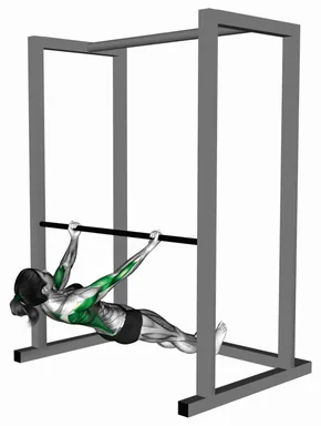 Supinated Grip Inverted Row demo