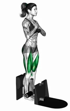 Supported Squat demo